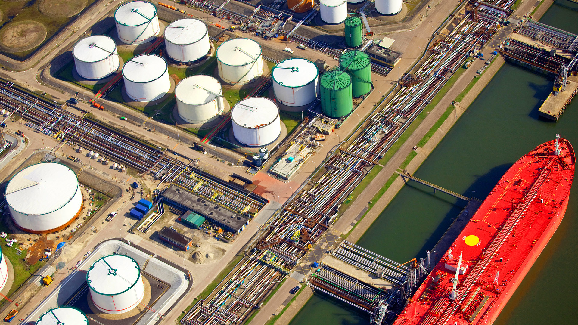 Trogon Oil and Gas  LLC
 Company