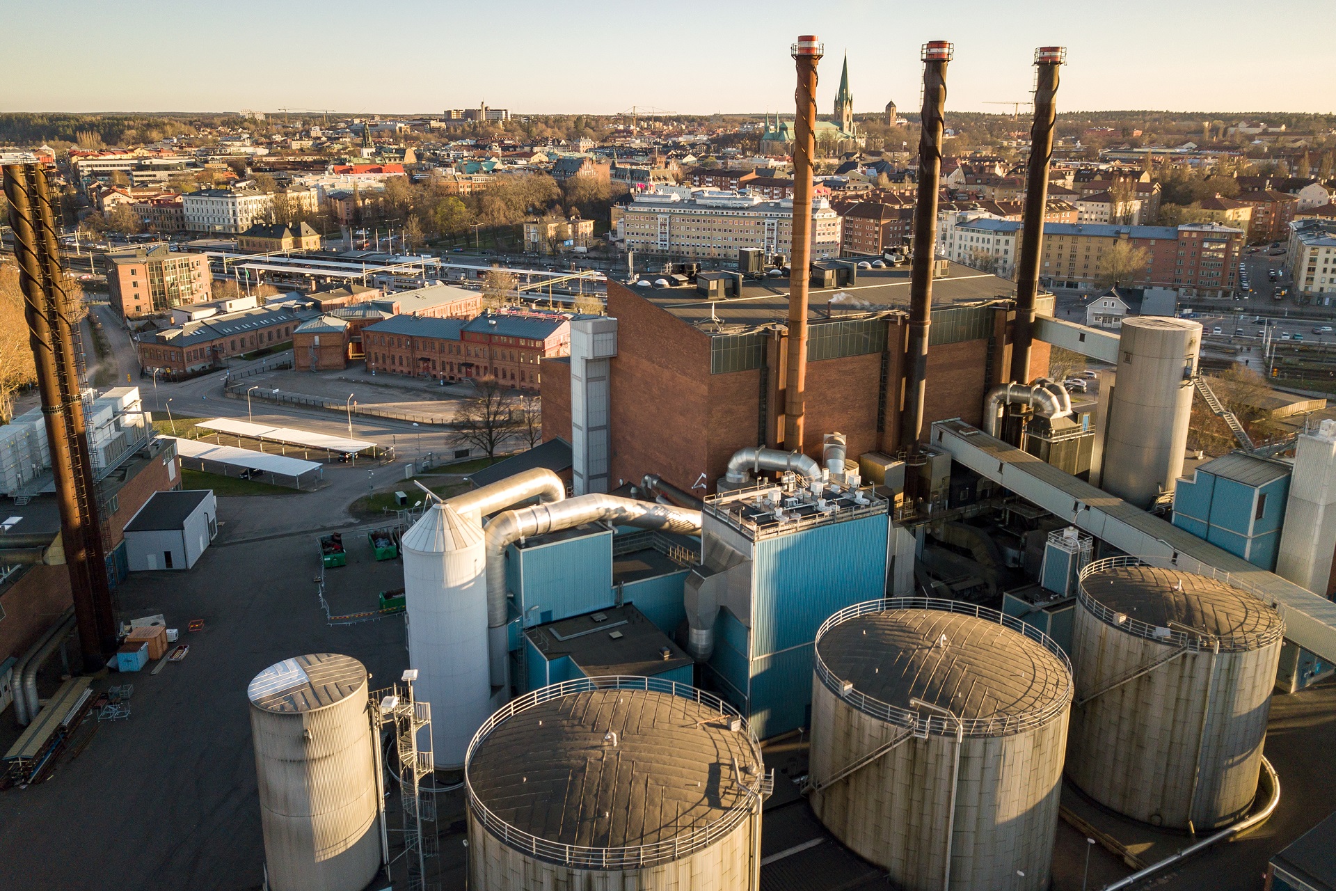 Trogon Oil and Gas  LLC
 Company